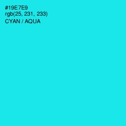 #19E7E9 - Cyan / Aqua Color Image